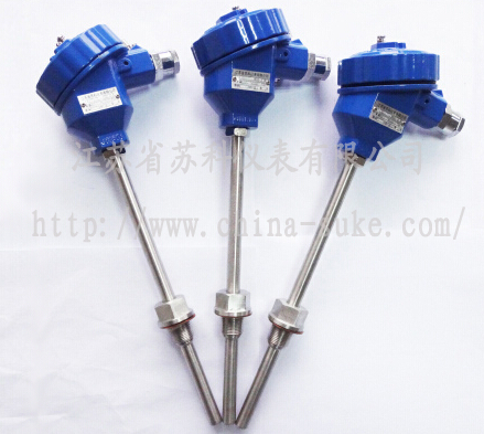 防爆型熱電偶